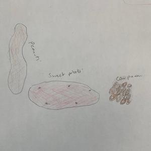 Shows the ingridients that he uses