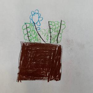Karen Washgtion has planted many plants.